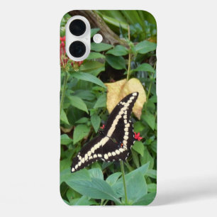 Coque Pour iPhone 16 Plus Monarque jaune et fleurs en Floride