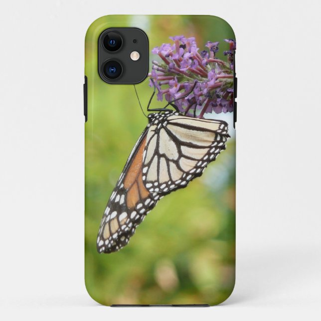 Coques Case-Mate iPhone Monarque papillon sur Buddleia pourpre (Dos)