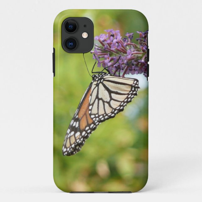 Coques Case-Mate iPhone Monarque papillon sur Buddleia pourpre (Dos)