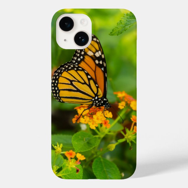 Coques Case-Mate iPhone Monarque Sur Lantana (Verso)