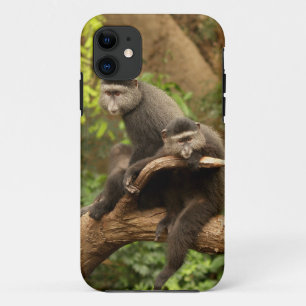 Case-Mate iPhone Case Monkey iPhone 5