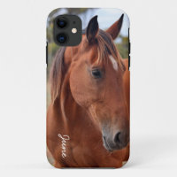 Monogramme de cheval