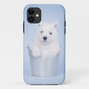 Coque Case-Mate Pour iPhone Montagne Terrier blanc occidentale