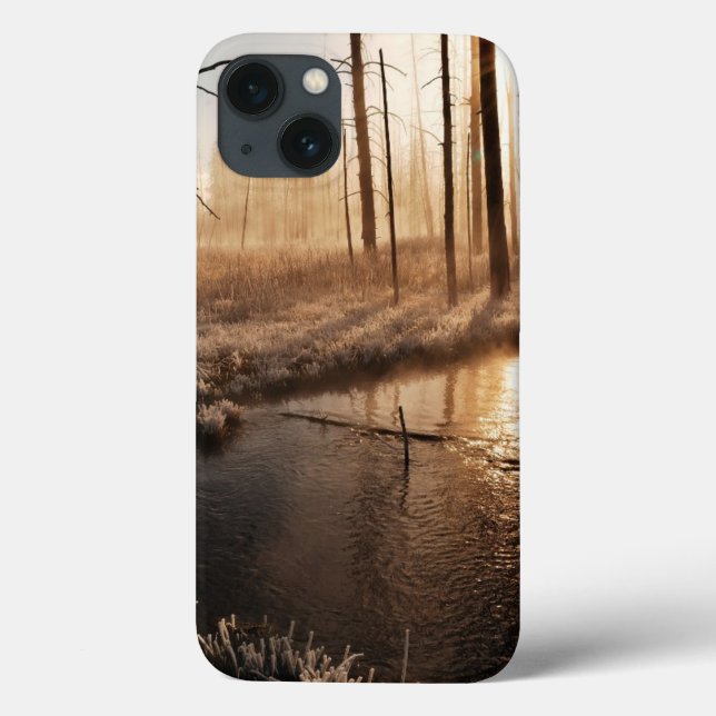 Coques Case-Mate iPhone Morceau de Yellowstone gelé (Verso)