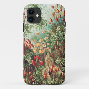 Case-Mate iPhone Case Mosses, Muscinae Laubmoose par Ernst Haeckel