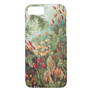 Case-Mate iPhone Case Mosses, Muscinae Laubmoose par Ernst Haeckel