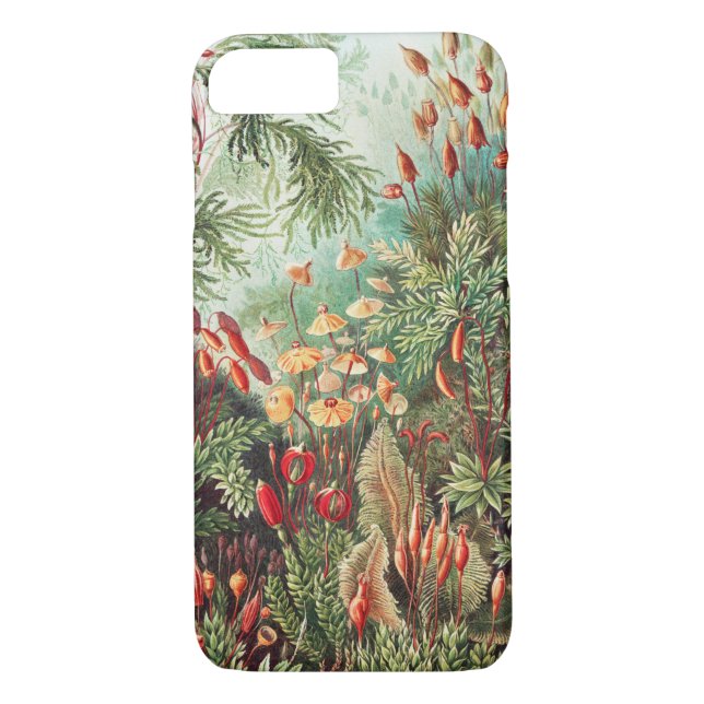 Coques Case-Mate iPhone Mosses, Muscinae Laubmoose par Ernst Haeckel (Dos)
