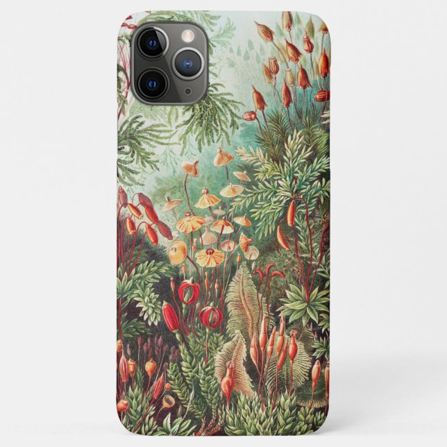 Coques Case-Mate iPhone Mosses, Muscinae Laubmoose par Ernst Haeckel (Dos)