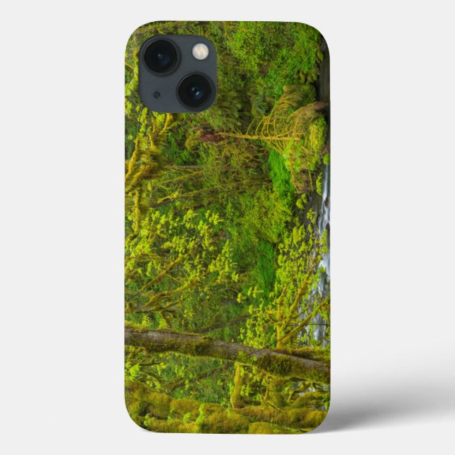 Coques Case-Mate iPhone Mossy Rocks And Trees Line Eagle Creek (Verso)
