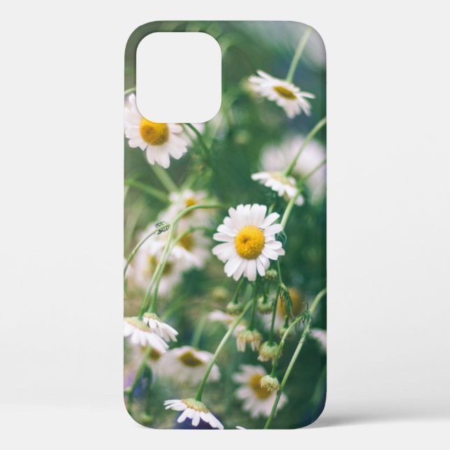 Coques Case-Mate iPhone Motif de fleur d'été dans prairie verte avec bleu  (Verso)