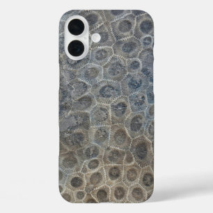 Coque Pour iPhone 16 Plus Motif Petoskey Stone
