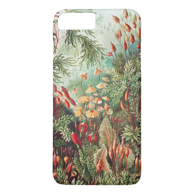 Coques Case-Mate iPhone Mousses, Muscinae Laubmoose par Ernst Haeckel (Dos)