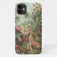 Mousses, Muscinae Laubmoose par Ernst Haeckel