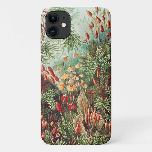 Coques Case-Mate iPhone Mousses, Muscinae Laubmoose par Ernst Haeckel (Dos)