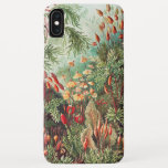 Case-Mate iPhone Case Mousses, Muscinae Laubmoose par Ernst Haeckel<br><div class="desc">Muscinae Laubmoose par Ernst Haeckel Étui de téléphone Végétaux Vintage</div>