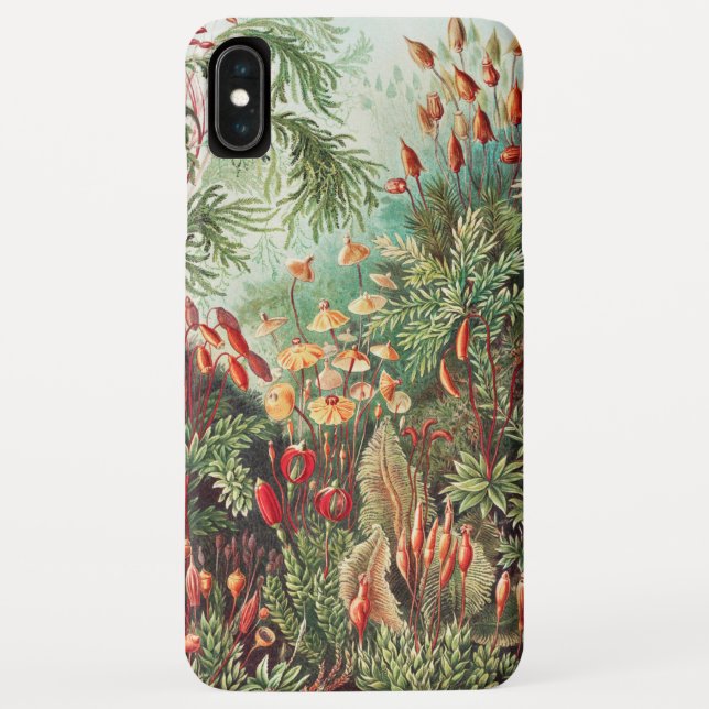 Coques Case-Mate iPhone Mousses, Muscinae Laubmoose par Ernst Haeckel (Dos)