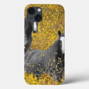 Case-Mate iPhone Case Moutarde et chevaux