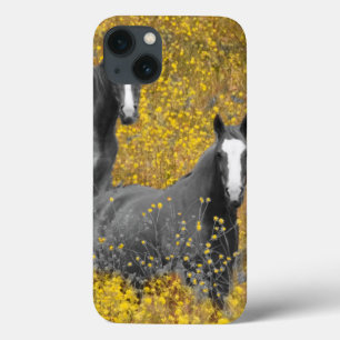 Etui iPhone Case-Mate Moutarde et chevaux