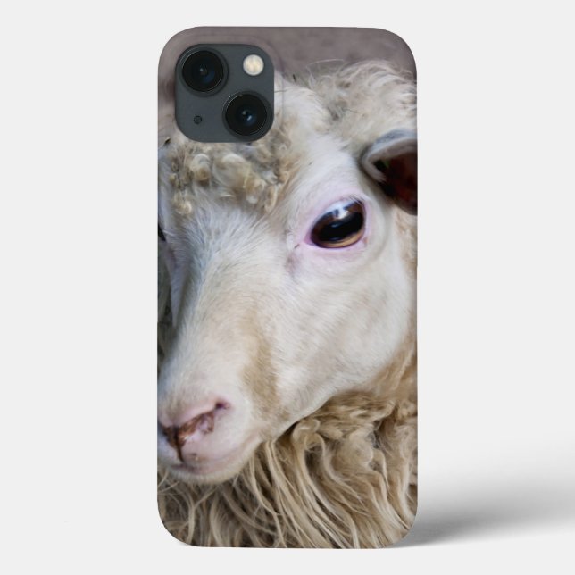 Coques Case-Mate iPhone Moutons drôles (Verso)