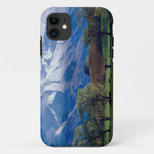 Coques Pour iPhone Moutons paissant sous les monts Harris enneigés