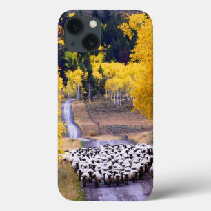 Coque Case-Mate iPhone Moutons sur la route de campagne