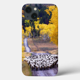 Etui iPhone Case-Mate Moutons sur la route de campagne