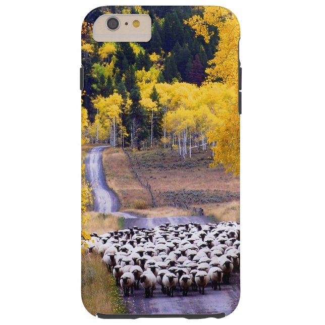 Coques Case-Mate iPhone Moutons sur la route de campagne (Dos)