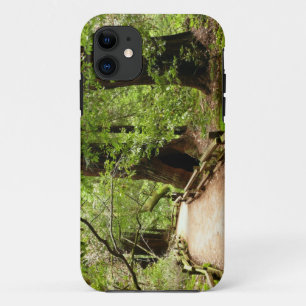 Coques Pour iPhone Muir Woods Path II Nature Photography