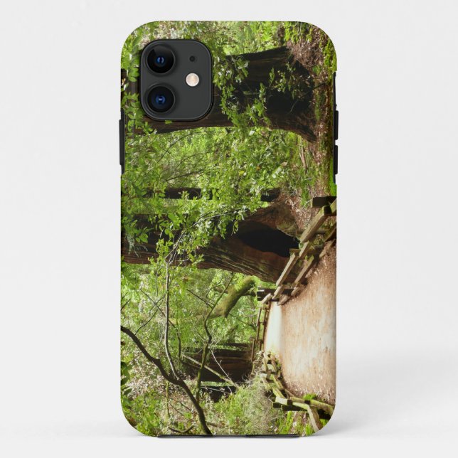 Coques Case-Mate iPhone Muir Woods Path II Nature Photography (Dos)