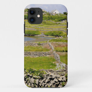 Coque Case-Mate Pour iPhone Murs de pierre d'Irlande