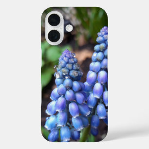 Coque Pour iPhone 16 Muscari Armeniacum, Hyacinthe aux raisins avec Rai