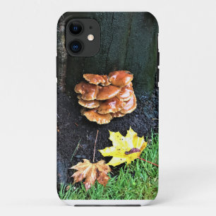 Case-Mate iPhone Case Mushrooms on a tree, Oregon