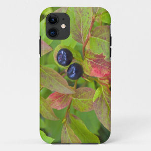 Coque Case-Mate iPhone Myrtille mûre dans le Flathead National