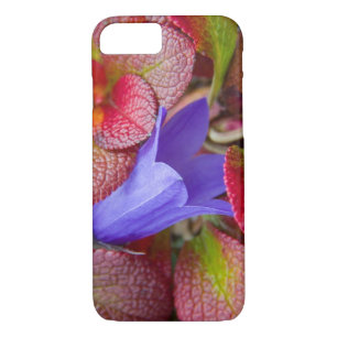 Coque iPhone 8/7 N.A., États-Unis, Alaska.  Bluebell, dans la tound