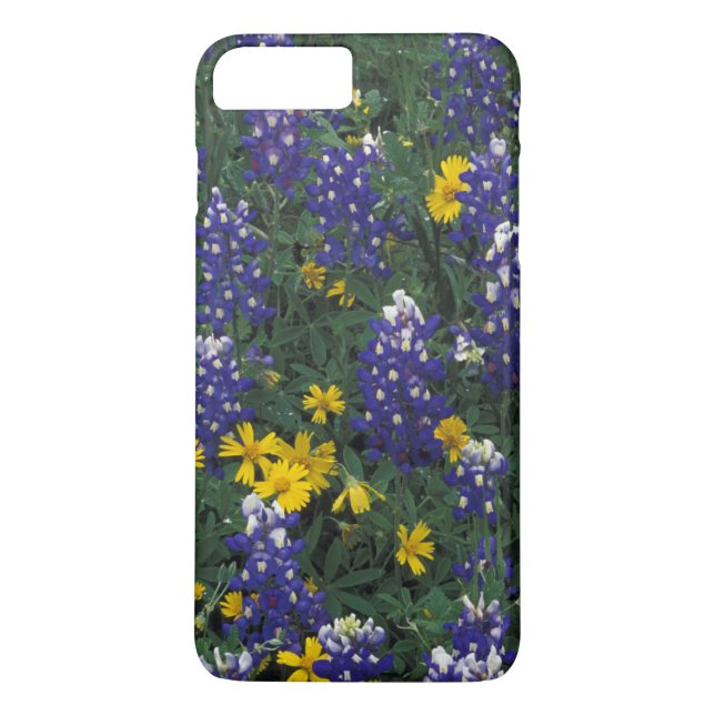 Coques Case-Mate iPhone N.A, États-Unis, Texas, Marble Falls, Bleus Bonnet (Dos)