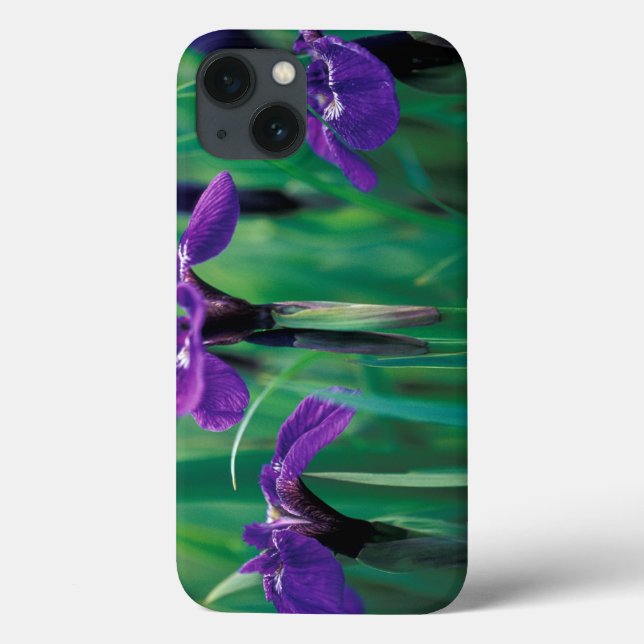 Coques Case-Mate iPhone NA, États-Unis, Alaska, île Knight, Iris sauvage (Verso)