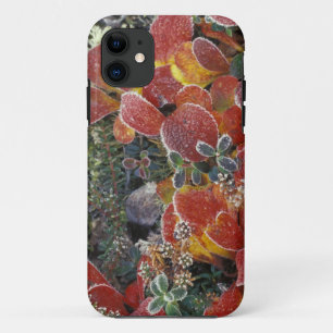 Case-Mate iPhone Case NA, États-Unis, Alaska. Parc national de Denali. A