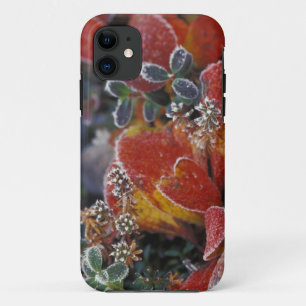 Coque iPhone 11 NA, États-Unis, Alaska, Parc national Denali givré