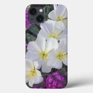 Coques Pour iPhone NA, États-Unis, Californie, Anza Borrego Desert St