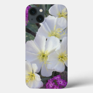 Coques Pour iPhone NA, États-Unis, Californie, Anza Borrego Desert St