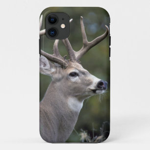 Coque iPhone 11 NA, États-Unis, État de Washington, Cerf à queue b