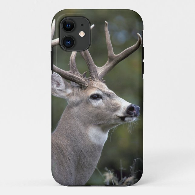 Coques Case-Mate iPhone NA, États-Unis, État de Washington, Cerf à queue b (Dos)