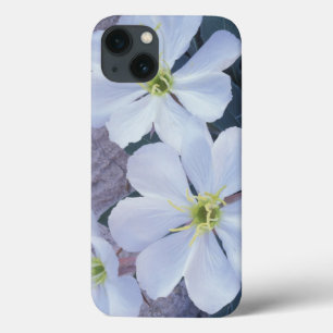 Coque Case-Mate iPhone NA, États-Unis, Utah, Parc national des Arches, On