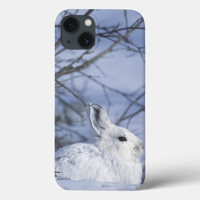 Coques Case-Mate iPhone NA, USA, Alaska. La faune nationale de l'Arctique (Verso)