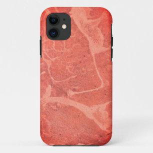 Case-Mate iPhone Case Namibie Afrique Namibie Rock Art Peinture