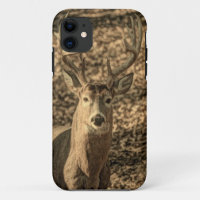 nature Camouflage outdoor homme cerf blanc