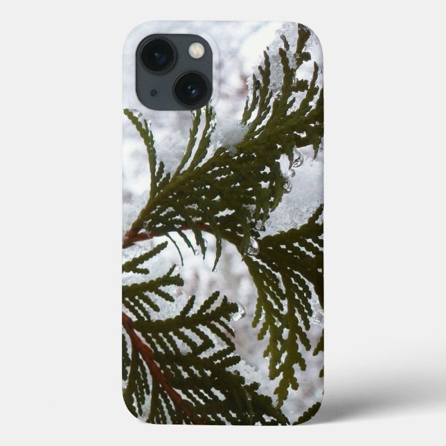 Coques Case-Mate iPhone Neige sur les branches À feuillage persistant (Verso)