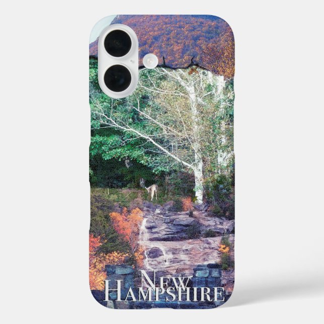 Coques Case-Mate iPhone New Hampshire photoscénique (Verso)
