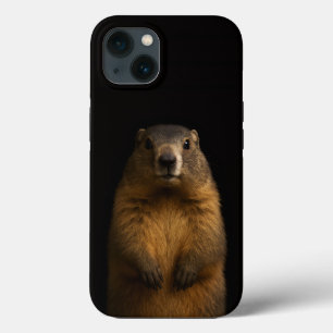 Case-Mate iPhone Case Noir 4 Luxe iPhone 13, Marmotte Floconneuse