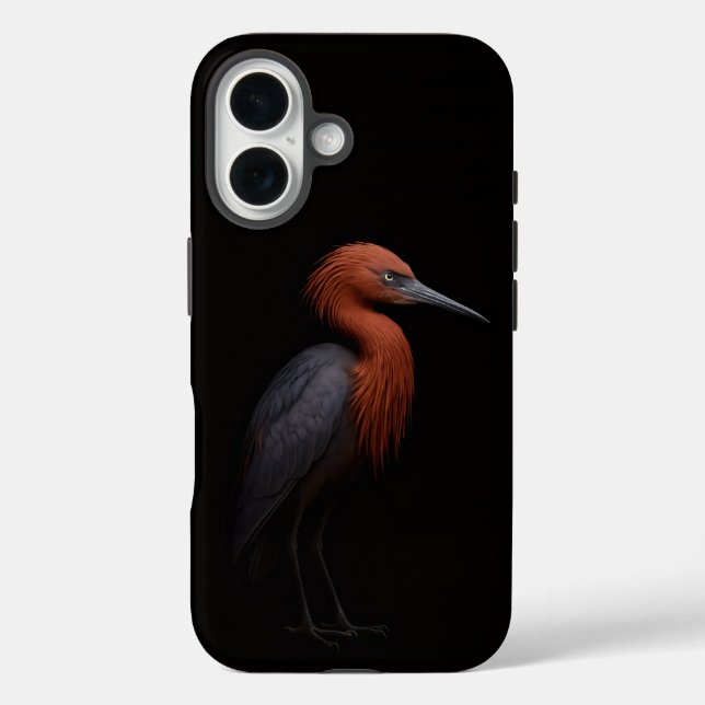 Coques Case-Mate iPhone Noir 4 Luxe iPhone 16 Mate, Aigrette Roussâtre (Verso)